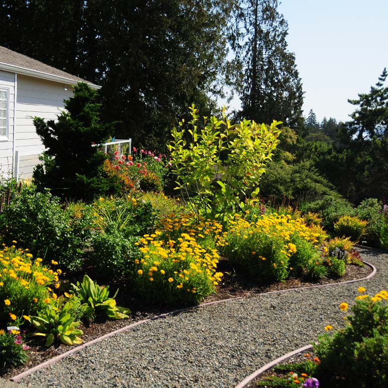 Federal Way, WA and Redondo Landscape Design, Construction, Service and Maintenance - by Olympic