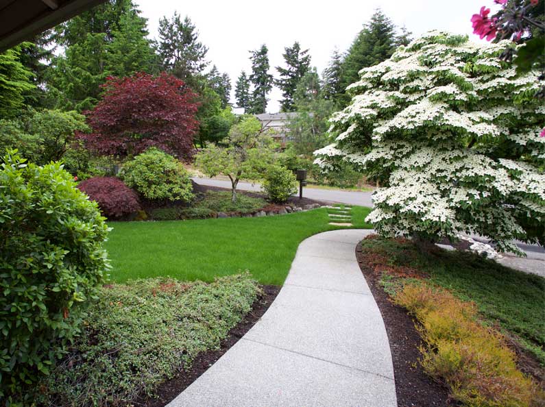 Commercial Landscape Maintenance, Landscape Maintenance Seattle Washington Dc