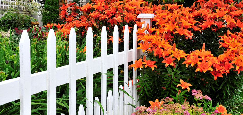 Olympic Landscape LLC in Puyallup, WA and serving all of Puget Sound.