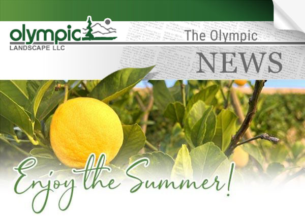 Newsletter - Olympic Landscape LLC serving Tacoma, WA and Puget Sound