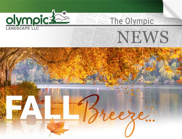 Newsletter - Olympic Landscape LLC serving Tacoma, WA and Puget Sound
