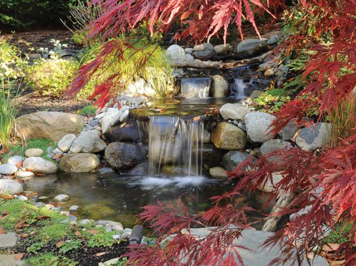 Ponds and Water Features