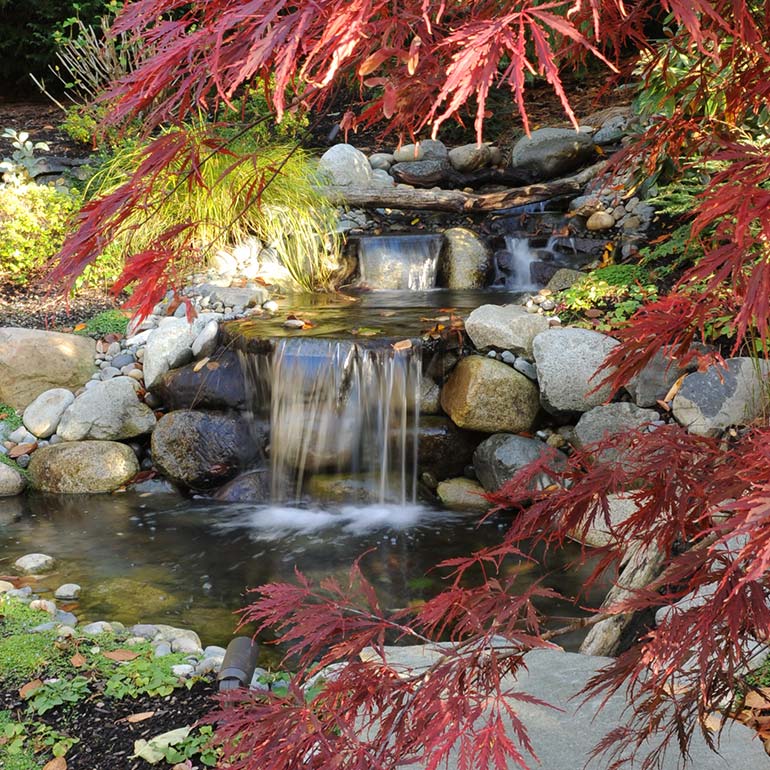 Ponds, Fountains, Waterfalls and Other Water Features by Olympic Landscape LLC - serving Tacoma and all the Puget Sound WA area.