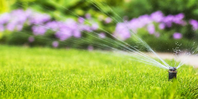 Sprinkler design, installation and service.